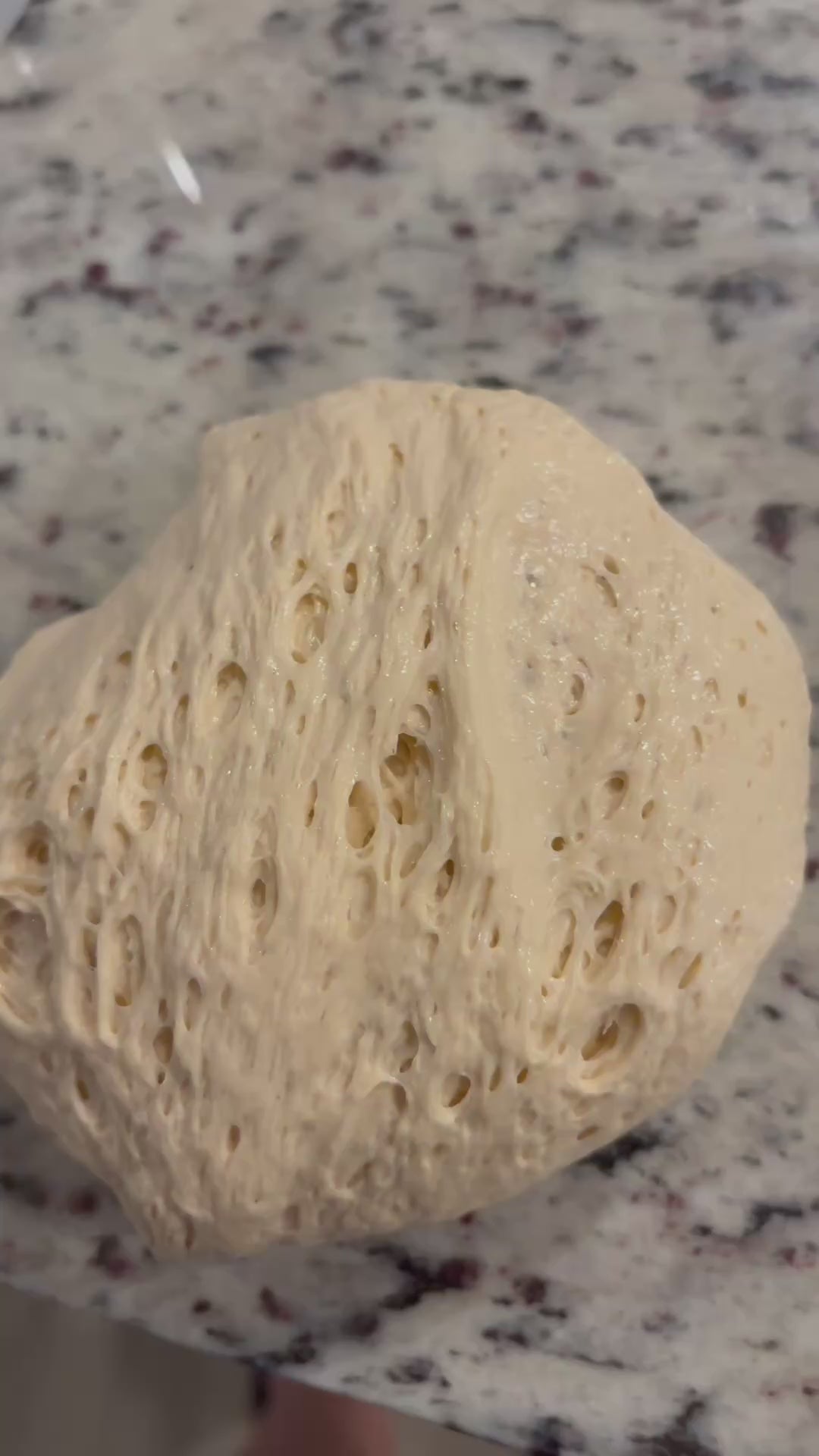 Sourdough Starter | Scented Butter Slime